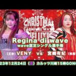 宮崎有妃 vs VENY