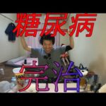 【糖尿病完治】金バエ!!糖尿病完治の動かぬ証拠を見せつける!!1月16日