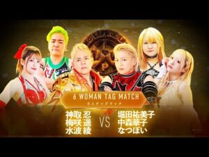 【公式】神取忍 還暦祭メインイベント「神取忍&梅咲遙&水波綾 VS 堀田祐美子&中森華子&なつぽい」【神取忍】