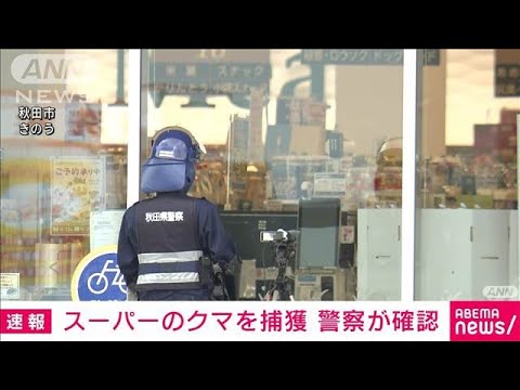 秋田市のスーパー侵入のクマ「箱わな」で捕獲　警察が確認　(2024年12月2日)