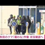 スーパーに侵入した秋田のクマ「箱わな」作動　警察や秋田市など状況確認へ(2024年12月2日)