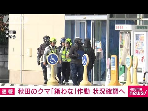 スーパーに侵入した秋田のクマ「箱わな」作動　警察や秋田市など状況確認へ(2024年12月2日)