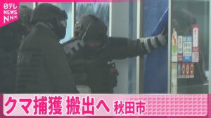 【クマ】スーパーに侵入 捕獲搬出へ 秋田市