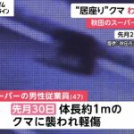 男性従業員を襲った1mの“居座り熊” 設置の「箱わな」で捕獲… 最終的には殺処分へ 秋田市のスーパー「いとく土崎みなと店」