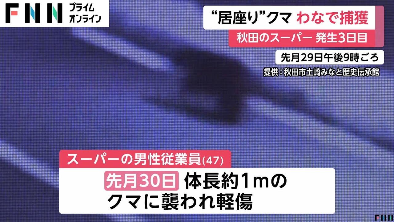 男性従業員を襲った1mの“居座り熊”　設置の「箱わな」で捕獲…　最終的には殺処分へ　秋田市のスーパー「いとく土崎みなと店」