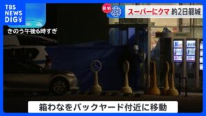 週末のスーパーに侵入したクマ、男性従業員にけが負わせ、バックヤードにいるのを確認　精肉コーナー、荒らされる　箱わなで引き続き捕獲の試み　秋田市｜TBS NEWS DIG