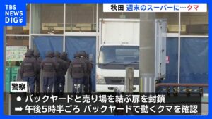おととい秋田市のスーパーに侵入し、男性従業員にけが負わせたクマ、きのうバックヤードにいるのを確認 精肉コーナー荒らされる 市は箱わな設置、捕獲試みる|TBS NEWS DIG