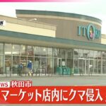 【男性けが】スーパー店内にクマ侵入  秋田市
