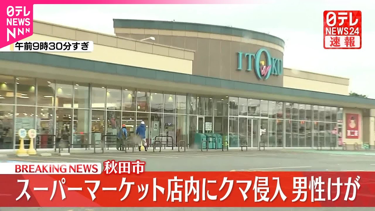 【男性けが】スーパー店内にクマ侵入  秋田市