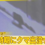 【クマ】居座り36時間 “ドローン作戦”も『バンキシャ！』