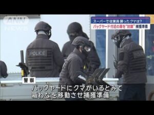 従業員襲ったクマは? 売り場におらずバックヤードか 付近の扉封鎖し捕獲準備【スーパーJチャンネル】(2024年12月1日)