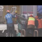 クマは依然スーパー店内か　バックヤード側に罠設置へ(2024年12月1日)