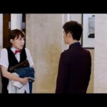 【Full Movie】大家都说她是剩女嫁不出去，没想到竟被亿万总裁相中了 🧁 Chinese Television Dramas