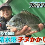 フィッシングDAYS「ダンゴ釣りで爆釣 静岡清水港チヌかかり釣り」