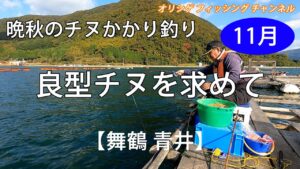 【チヌかかり釣り】2024.11.12~13 マル拓渡船　舞鶴湾の牡蠣筏の底に潜む良型チヌを求めて釣行。餌取り、カワハギとの格闘の中で、チヌを釣ることができるのか！