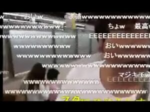 【ニコ生】金バエ　発狂集