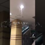 地震 警報 ヤバい 人生終了 怖い 恐怖 避難 防災 災害