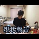 【現状】壮絶な現状報告【金バエ】