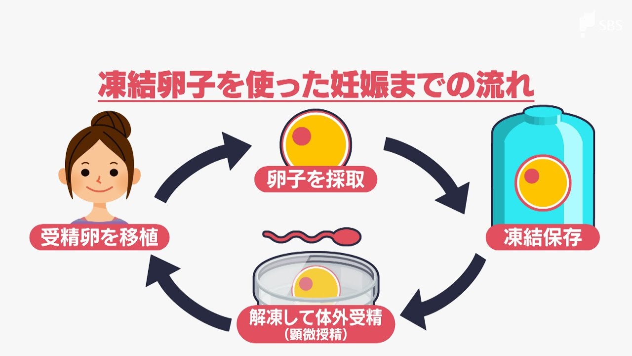 「ライフプランとキャリアプランの選択肢に」健康な女性の間でも注目の「卵子凍結」　背景と現状は