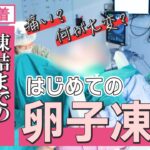 【これでわかる卵子凍結】完全密着で卵子凍結のやり方を公開します【30代妊活女子が将来の出産に備えてチャレンジ】六本木レディースクリニック