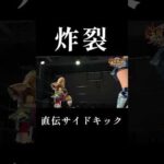 プロレスのタイトルマッチでジークンドーの直系サイドキックが炸裂【女子プロレス】【ブルース・リー】【ワールド女子プロレス•DIANA】【世羅りさ】【プロミネンス】#玉川ボール #shorts