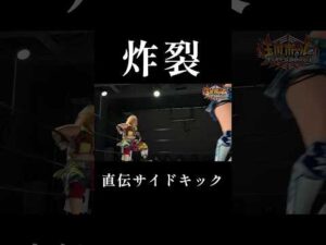 プロレスのタイトルマッチでジークンドーの直系サイドキックが炸裂【女子プロレス】【ブルース・リー】【ワールド女子プロレス•DIANA】【世羅りさ】【プロミネンス】#玉川ボール #shorts