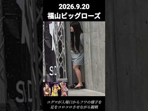 【STARDOM】コグマひょっこりはん