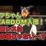 フワちゃんSTARDOM入団！「プロレスは禊の場じゃないぞ！」と怒っている人に聞いてほしい。むしろ魑魅魍魎が跋扈するプロレス界に足を踏み入れるフワちゃんは大丈夫か！？