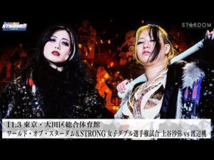 【プレミア公開】11.3大田区 ワールド王座戦 上谷沙弥［ワールド王者］vs渡辺桃［挑戦者/5☆STARS GP2025優勝］/『We are STARDOM!!』#311【STARDOM】