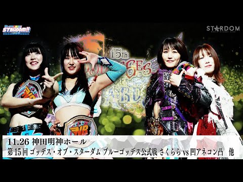 【プレミア公開】ゴッデスタッグリーグ中盤戦 /久々にメーガン登場！/タッグ王者・BMI2000vs水星/アネコンvsさくらら 他『We are STARDOM!!』#313【STARDOM】
