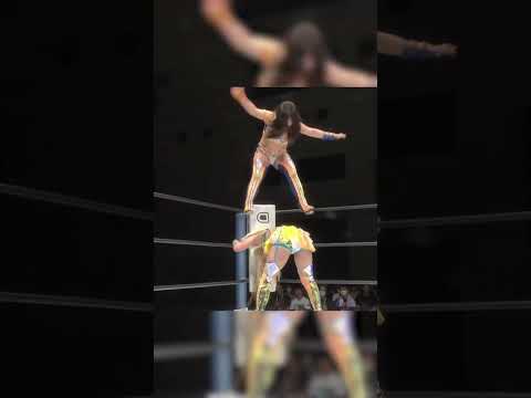 【秘技】飛びつき式ヨシタニックでコグマが羽南から勝利#stardom #shorts #stardom  #スターダム #女子プロレス #prowrestling #プロレス