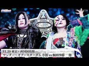 【プレミア公開】12.29両国 ゴッデス戦 BMI2000vsさくらら/ワンダー戦 小波vs飯田沙耶『We are STARDOM!!』#319【STARDOM】