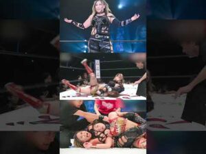 小波、TKO勝利！胴締めスリーパーがSareeeを仕留める