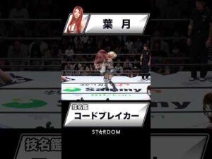 【技名鑑】葉月『コードブレイカー』#STARDOM #スターダム #女子プロレス
