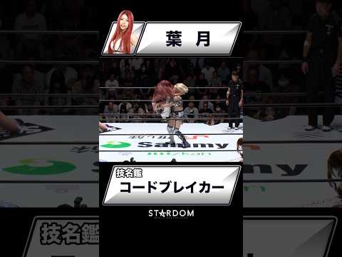 【技名鑑】葉月『コードブレイカー』#STARDOM #スターダム #女子プロレス