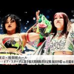 【プレミア公開】12.8後楽園 アーティスト戦 H.A.T..E.vsEneXusV/ワンダー挑戦者決定戦 飯田沙耶vs壮麗亜美『We are STARDOM!!』#317【STARDOM】